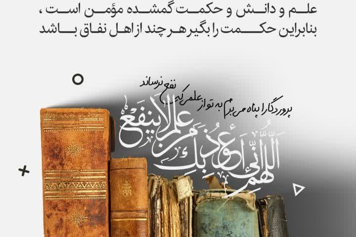 #دوشنبه‌های_نهج‌البلاغه‌ای  🌱امیرالمؤمنین علی علیه السلام: